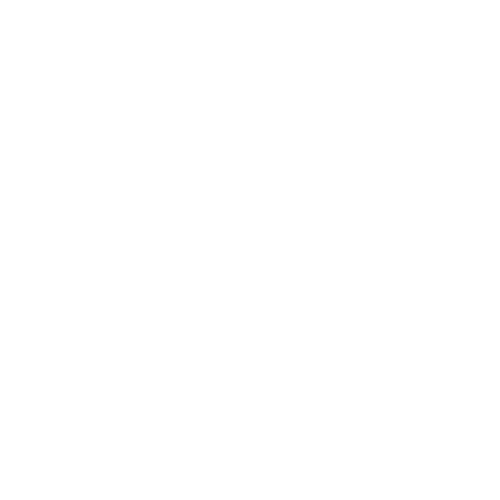 CSE Icon